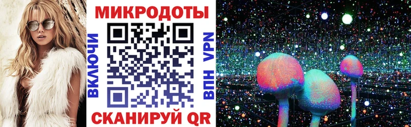 Псилоцибиновые грибы Psilocybe  Приволжский 